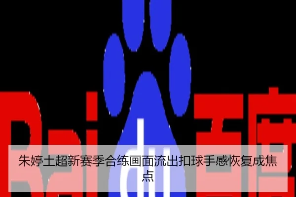 朱婷土超新赛季合练画面流出扣球手感恢复成焦点