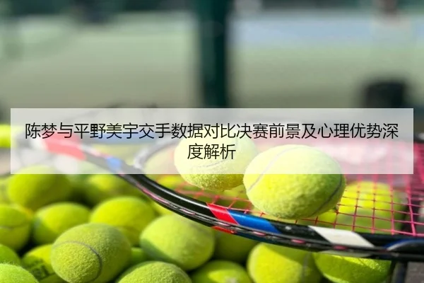 陈梦与平野美宇交手数据对比决赛前景及心理优势深度解析