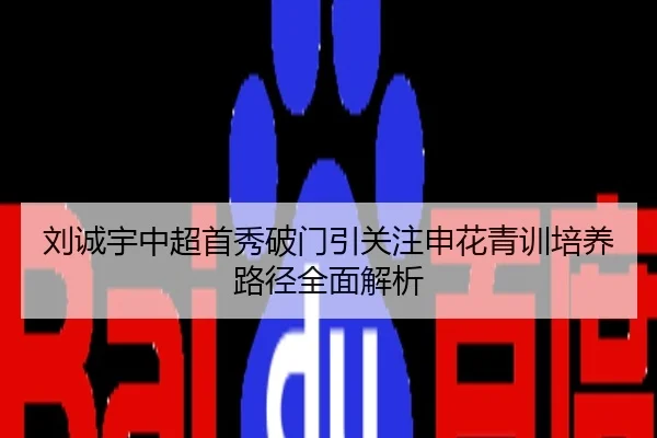 刘诚宇中超首秀破门引关注申花青训培养路径全面解析